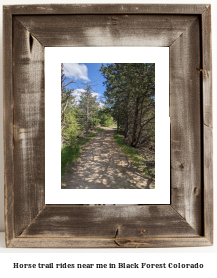 horse trail rides near me in Black Forest, Colorado